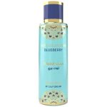Brume Blueberry 250ml