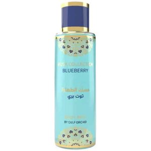 Brume Blueberry 250ml