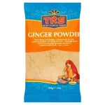 Gingembre en poudre épice indienne 100g de TRS