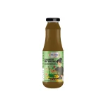 Shama Coriander Mint Chutney 200g de Shama