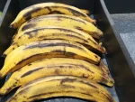 Bananes plantin 1 KG