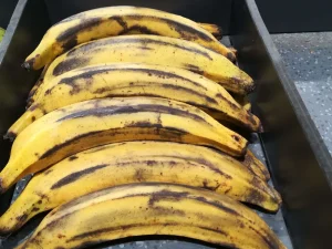 Bananes plantin 1 KG