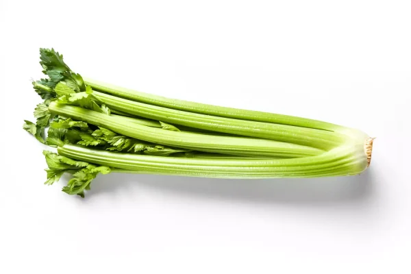 Céleris 1kg