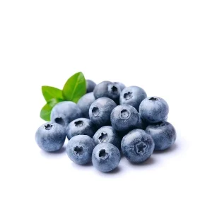 Myrtilles 1kg