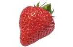 Fraises 1kg